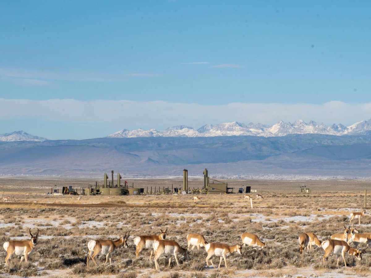 Trump dumps Biden environmental review for 3,244 oil and gas leases