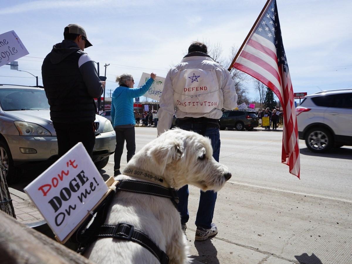 Dogs against DOGE: Wyoming canines join protest crowds