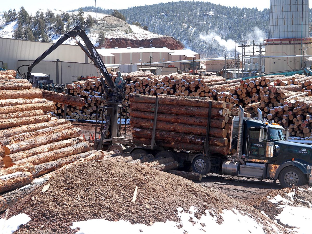 Trump’s ag boss declares 113M-acre logging ‘emergency.’ Will it keep Wyoming’s timber industry alive?