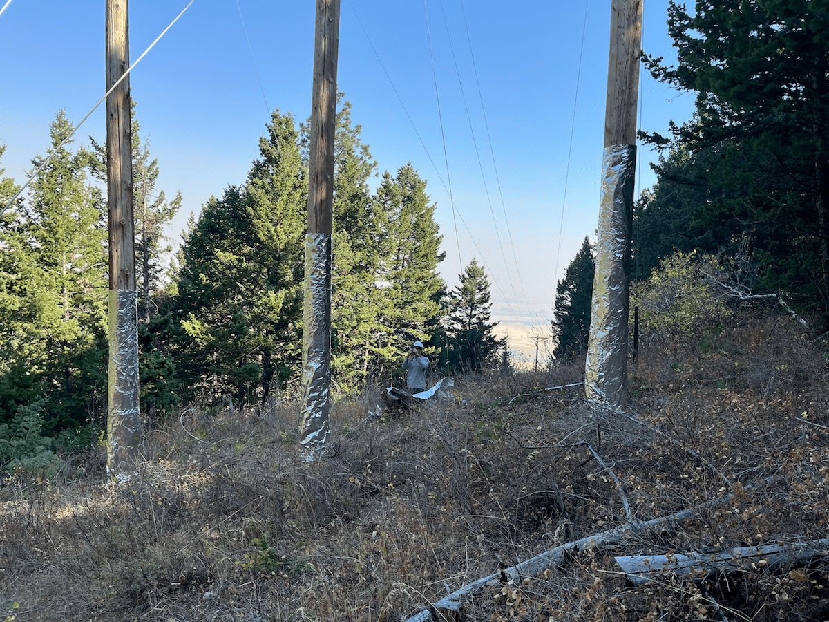 Wyoming lawmakers punt on protecting electric utilities from wildfire liability