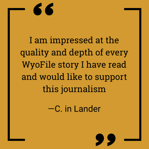 Testimonial 2 from Lander